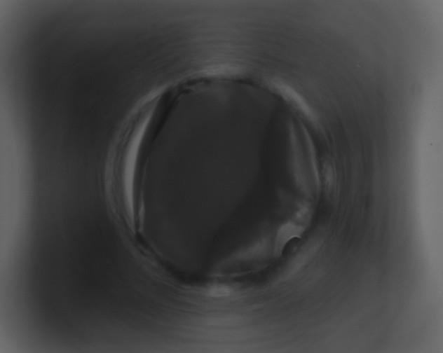 X0000100890684200807081041