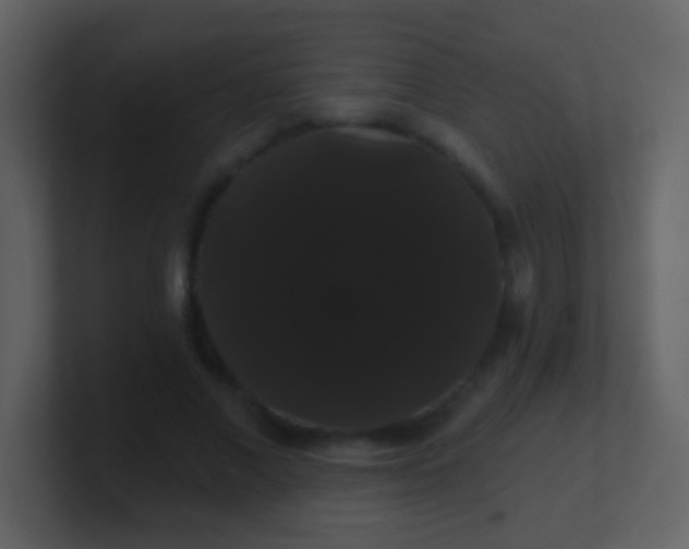 X0000100890685200807081041