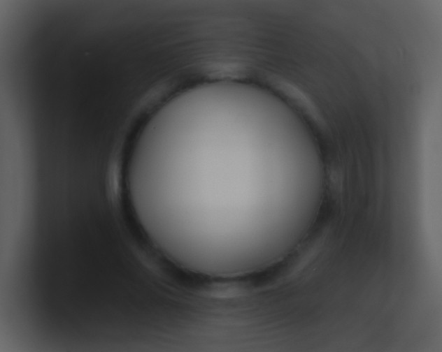 X0000100890686200807081041