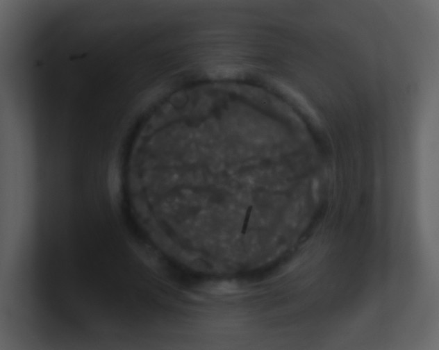 X0000100890687200807081041