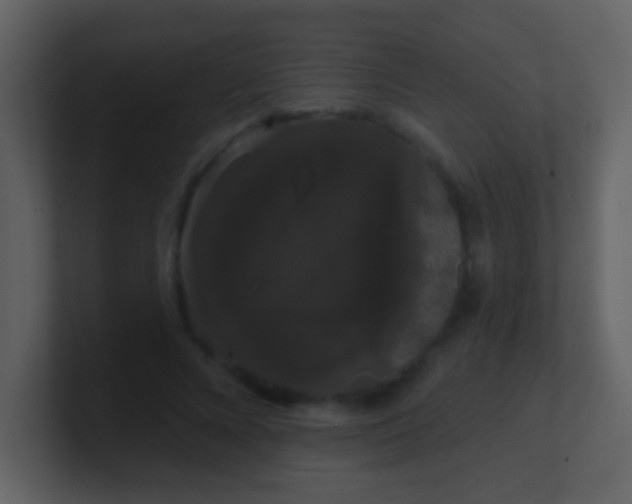 X0000100890688200807081041