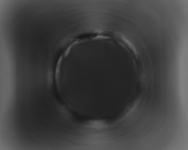 X0000100890689200807081041