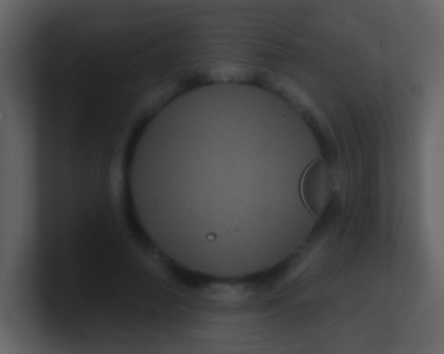 X0000100890690200807081041