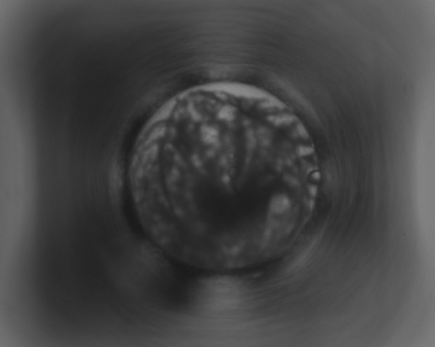 X0000100890691200807081041