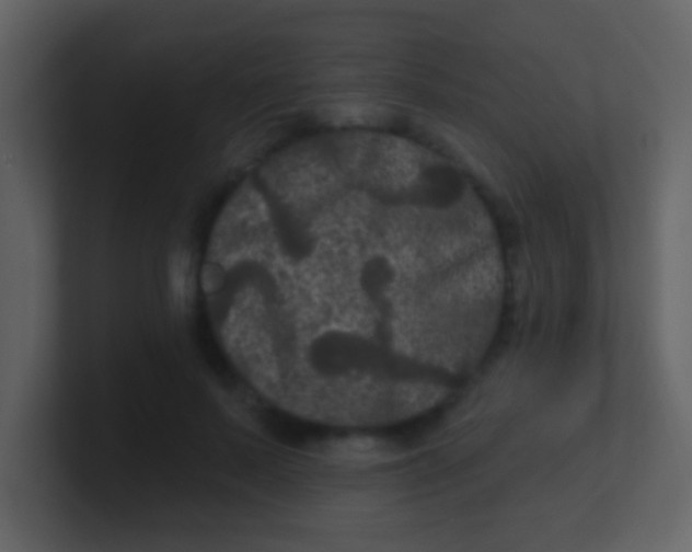 X0000100890695200807081041