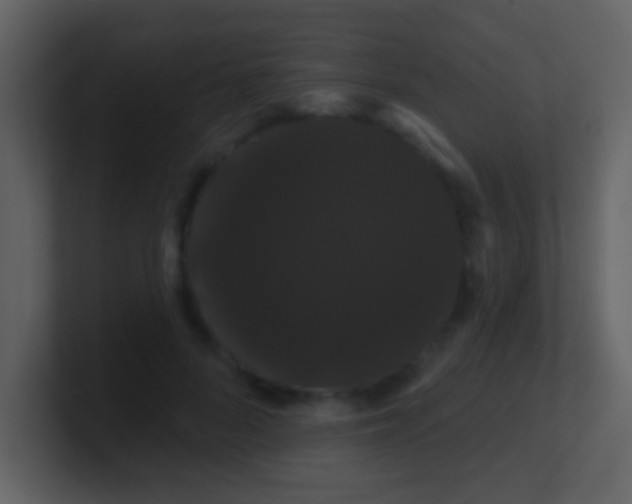 X0000100890696200807081041