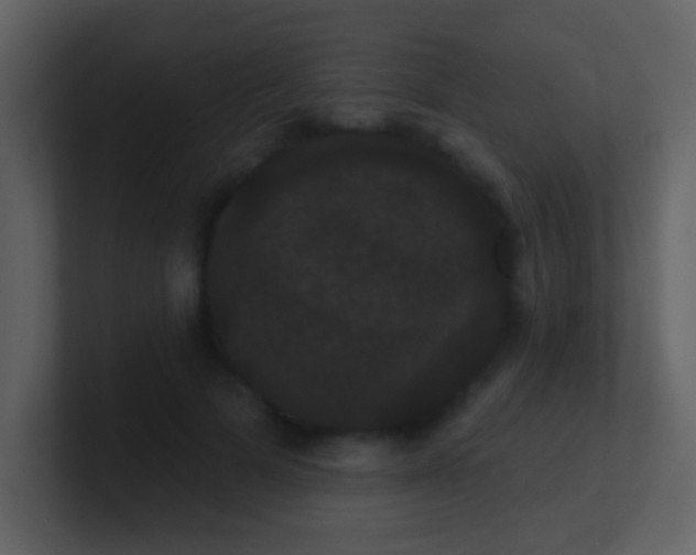 X0000100890697200807081041