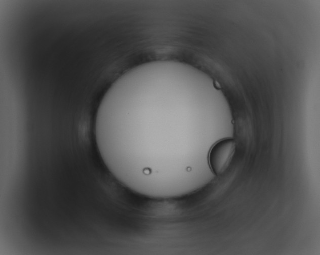 X0000100890698200807081041