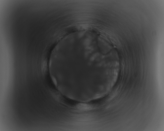 X0000100890699200807081041