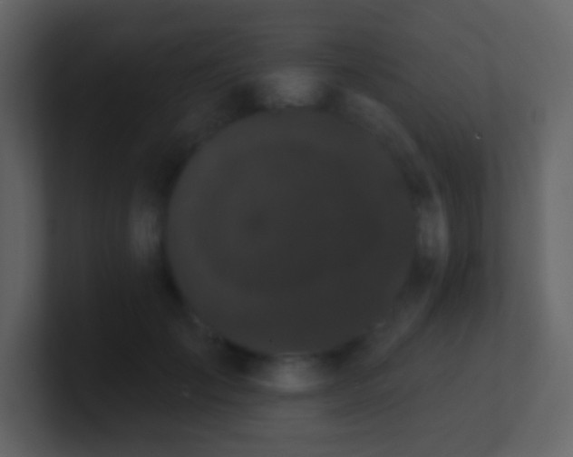 X0000100890701200807081041