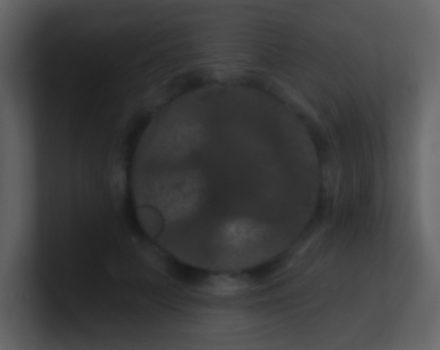 X0000100890703200807081041