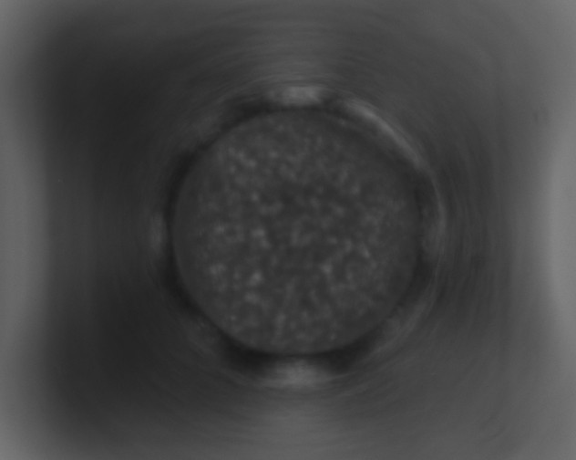 X0000100890704200807081041