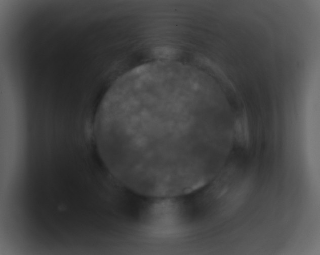 X0000100890705200807081041