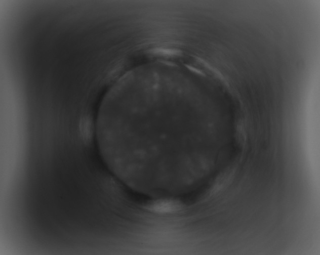 X0000100890708200807081041