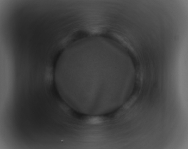 X0000100890710200807081041