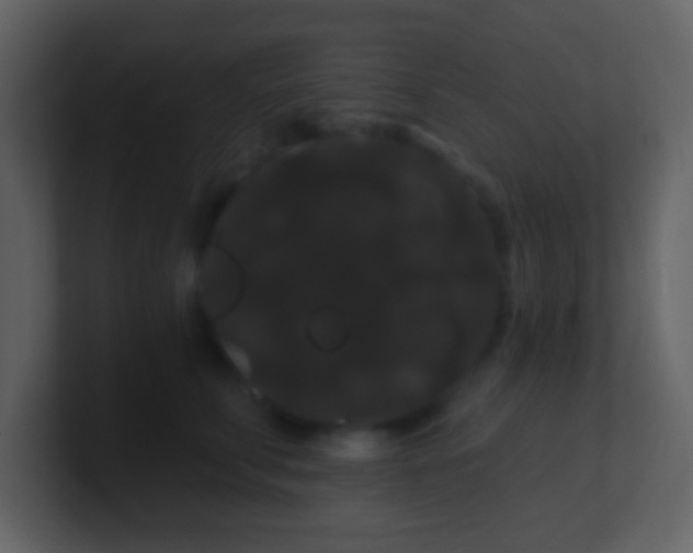 X0000100890711200807081041