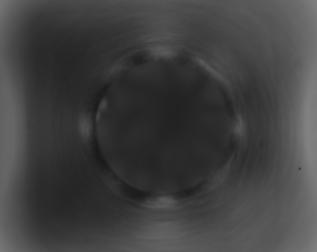 X0000100890715200807081041