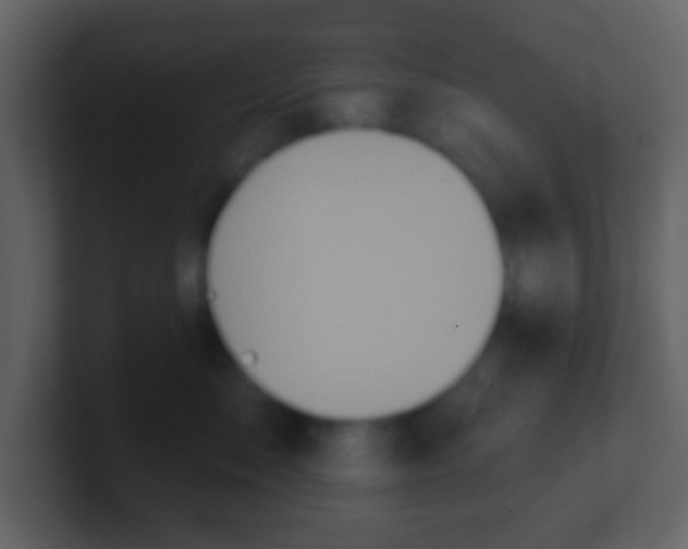 X0000100890717200807081041