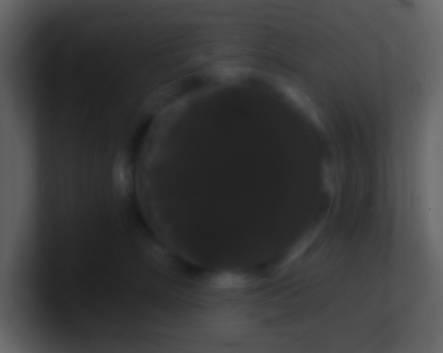 X0000100890718200807081041