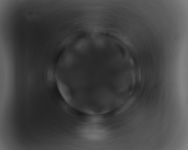 X0000100890719200807081041