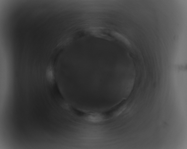 X0000100890720200807081041