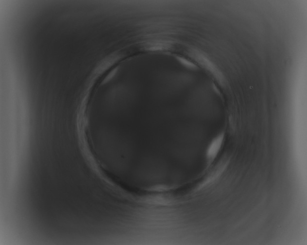 X0000100890721200807081040