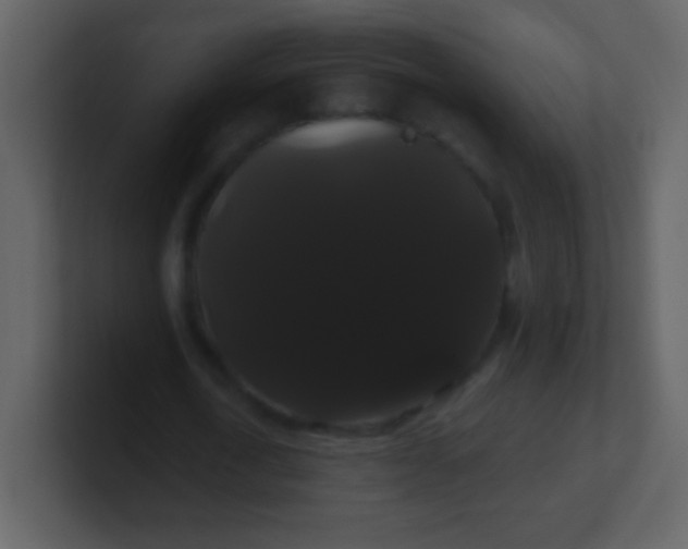 X0000100890722200807081040