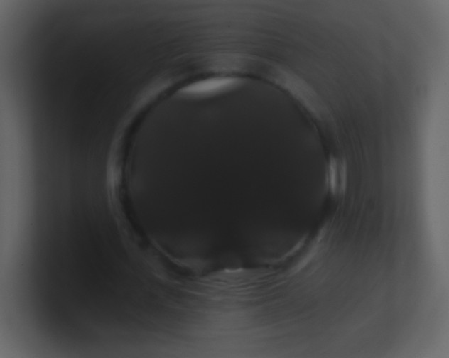 X0000100890723200807081040