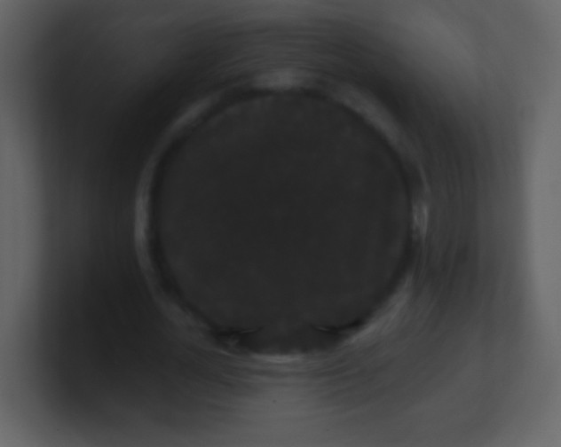 X0000100890724200807081040