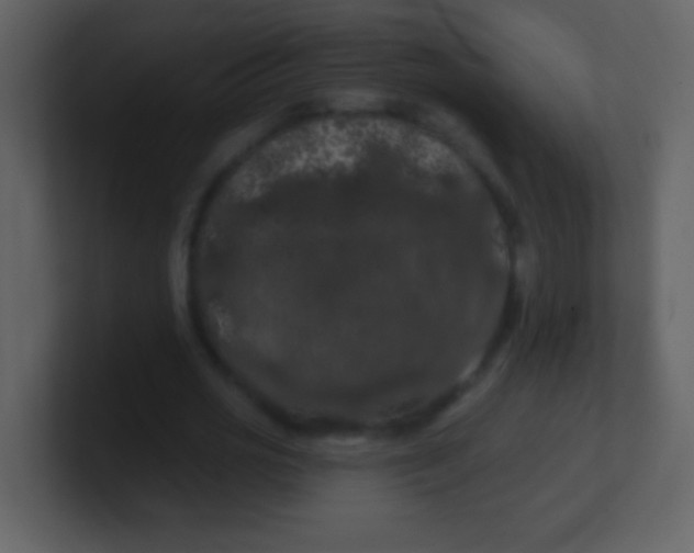 X0000100890725200807081040