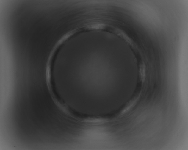 X0000100890726200807081040