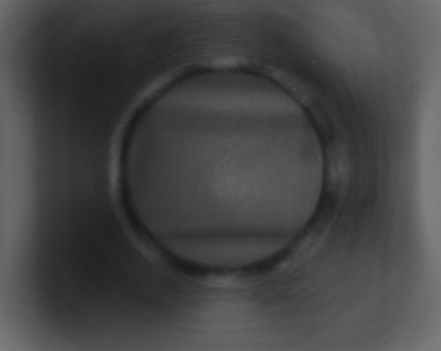 X0000100890728200807081040