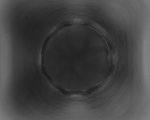 X0000100890729200807081040