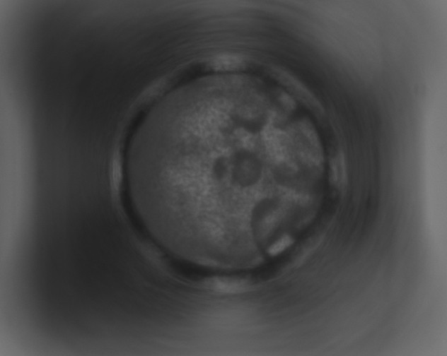 X0000100890733200807081040