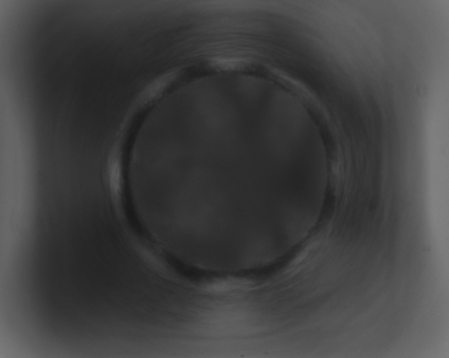 X0000100890734200807081040