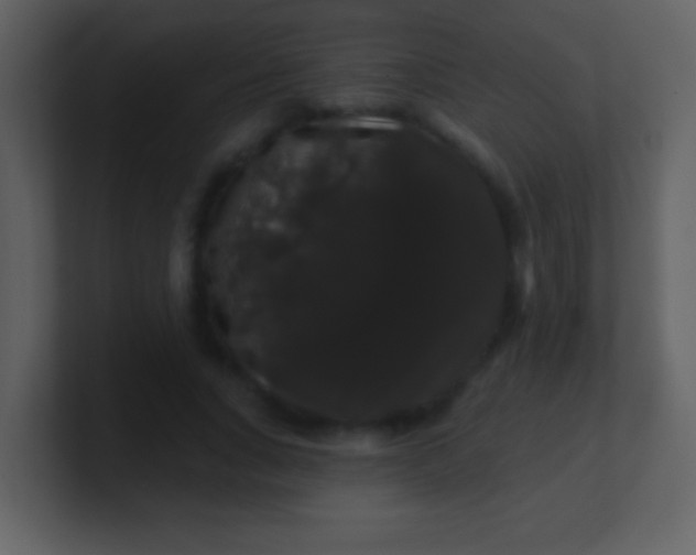 X0000100890735200807081040