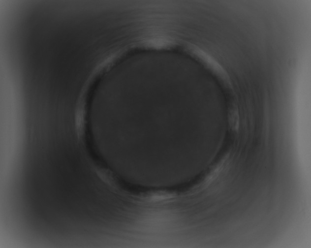 X0000100890736200807081040