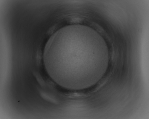 X0000100890737200807081040