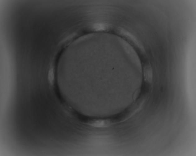 X0000100890740200807081040