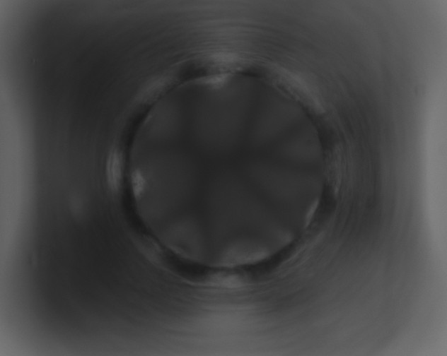 X0000100890742200807081040