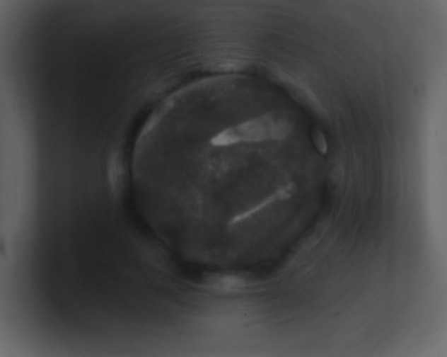 X0000100890743200807081040