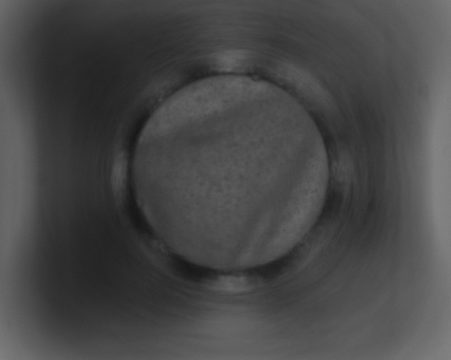 X0000100890744200807081040