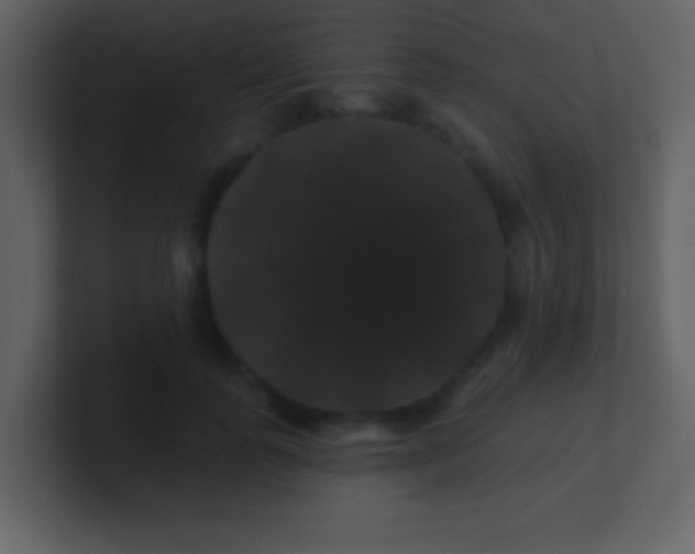 X0000100890747200807081040