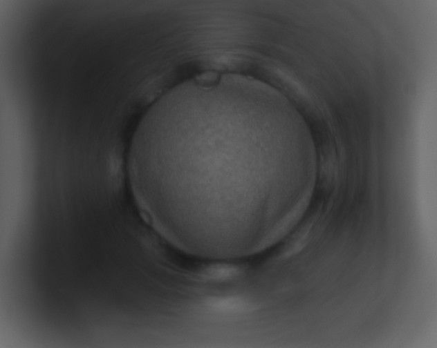 X0000100890749200807081040