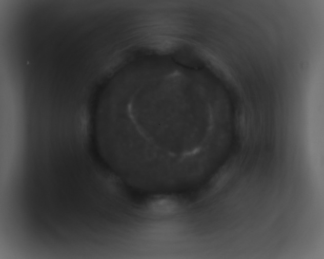 X0000100890750200807081040