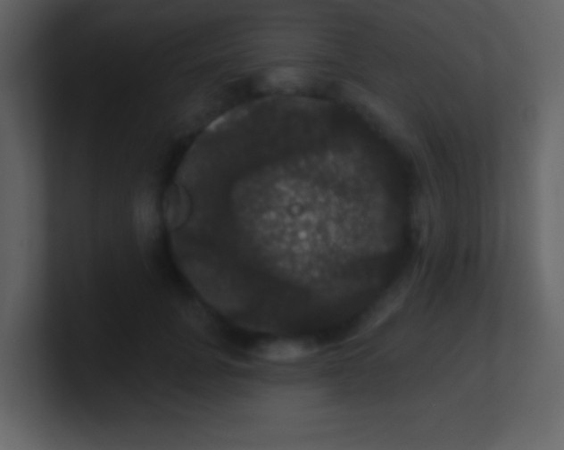 X0000100890751200807081040