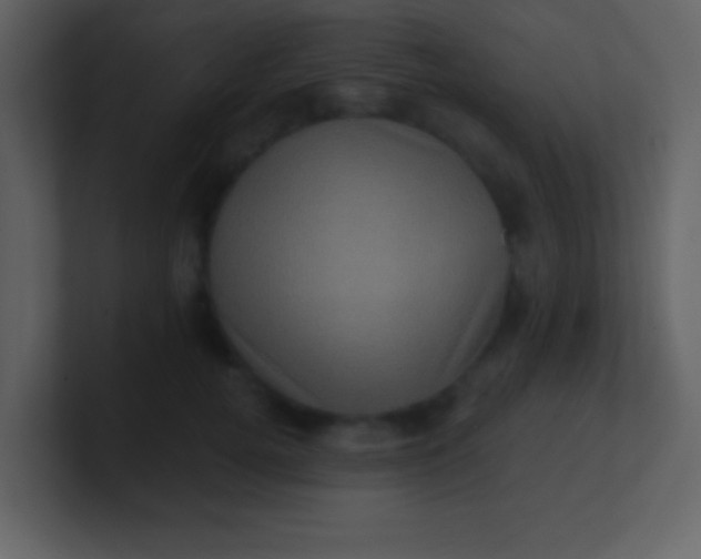 X0000100890752200807081040