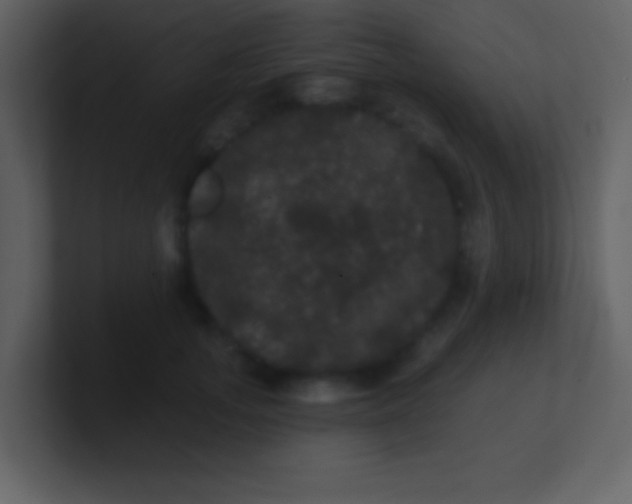 X0000100890755200807081041