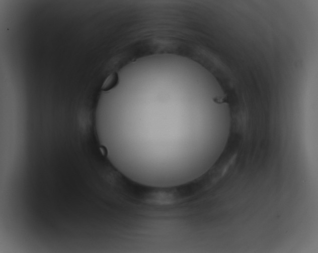 X0000100890756200807081041