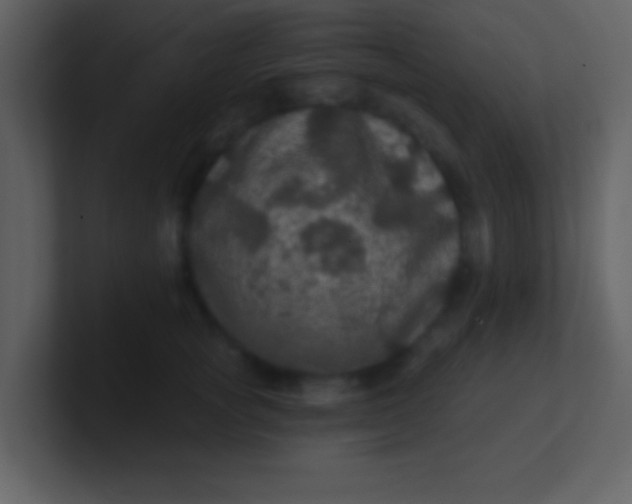 X0000100890757200807081041